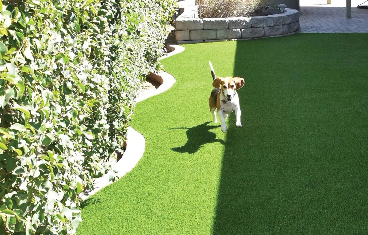 Drainage and Base Preparation in Pasadena, TX