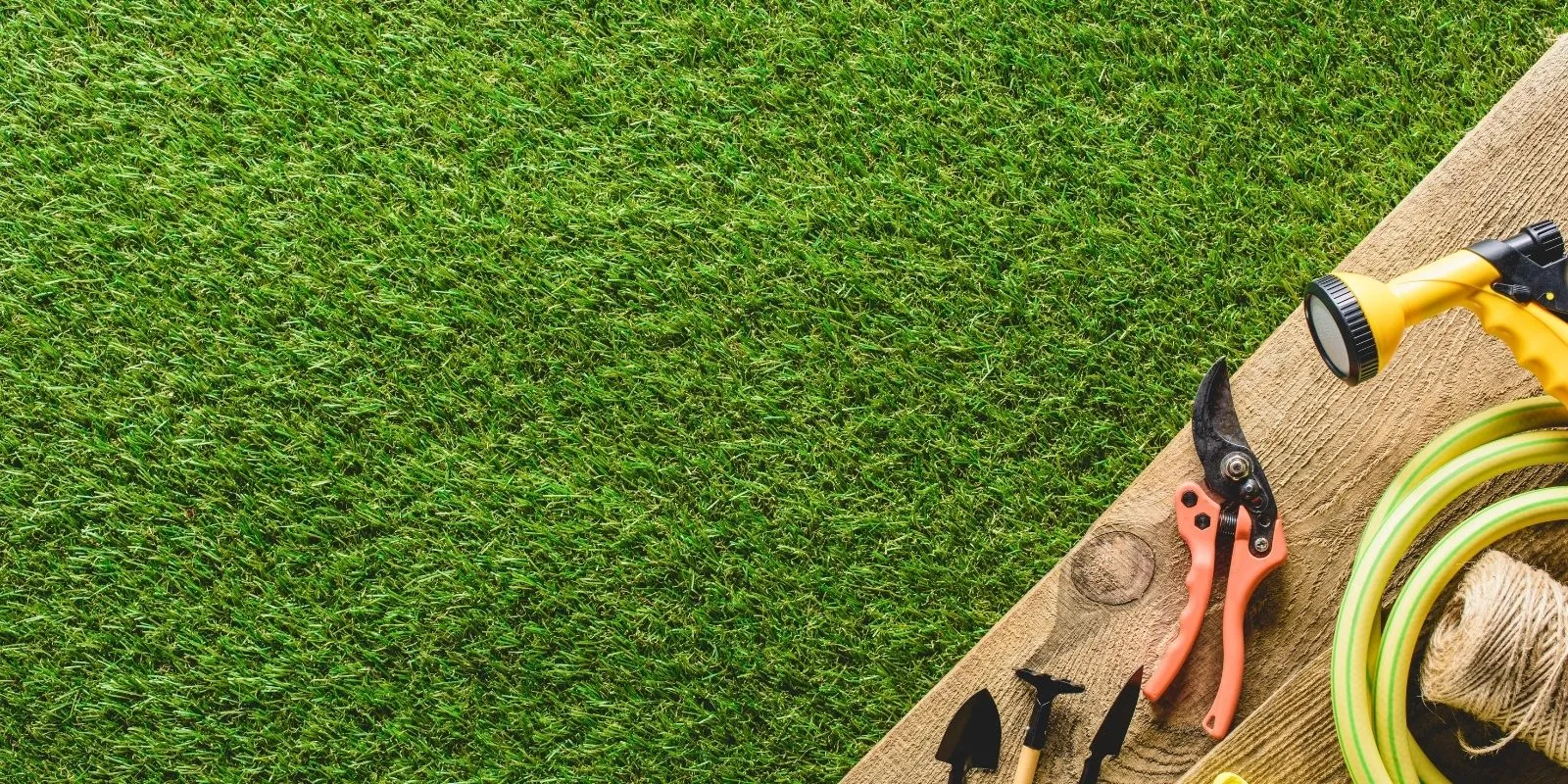 Turf Repair and Maintenance in Pasadena, TX